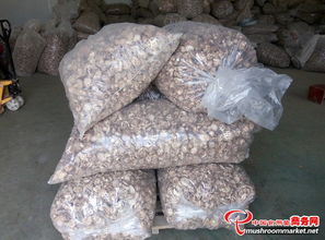 泌陽香菇 從散裝干貨到低價(jià)批發(fā)的產(chǎn)地直供優(yōu)勢(shì)