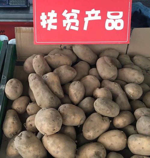 扶貧農產品上餐桌了啦——食用農產品初加工助力鄉村振興