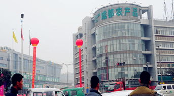 春節探市 走進成都海吉星農產品批發市場，感受食用農產品供應熱潮